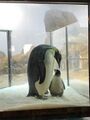 2026年2月8日 (日) 20:35時点における版のサムネイル