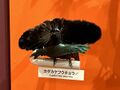 2026年7月25日 (土) 21:48時点における版のサムネイル